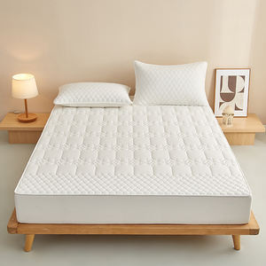 Couvre-lit simple en flanelle Protège-matelas à fermeture éclair imperméable antidérapante pour usage domestique - Product Image 4