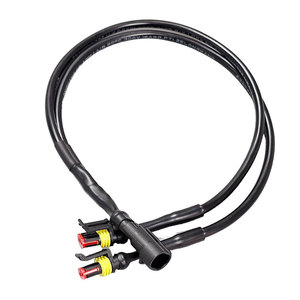 Kunden spezifisches <span class=keywords><strong>AMP</strong></span> 1.5 2p Automotive Water proof <span class=keywords><strong>Connector</strong></span> Stecker Buchse Anschluss kabel - Product Image 1