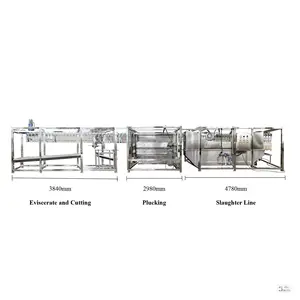 Speciale Aanbieding Automatische Kippenslachtmachine Voor Kleine Kippen/Duivenveren Plukapparatuur