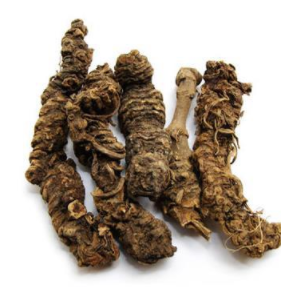 1019 Xie cao gen root Valeriana officinalis, оптовая продажа, экстракт корня валерианы - Product Image 6
