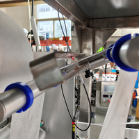 Machine d'emballage entièrement automatique pour sachets de thé pyramidaux triangulaires avec scellage ultrasonique pour l'emballage de thé aux herbes et de thé vert en nylon