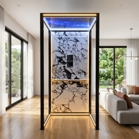 Panneau de plafond de cabine d'ascenseur moderne, panneau mural en métal brossé, cabine d'ascenseur résidentielle pour maison, ascenseur de villa pour passagers