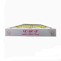 CTP Kodak 800 Filtre à air pour porte latérale 12 ''x 24'' x 2 ''289mm x 594mm x 44mm