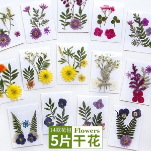Nouveau produit <span class=keywords><strong>fleurs</strong></span> de pression de <span class=keywords><strong>fleurs</strong></span> <span class=keywords><strong>séchées</strong></span> bricolage matériel sac <span class=keywords><strong>livre</strong></span> signe, tic-tac colle étui de téléphone portable spécimen de plante créatif - Product Image 1