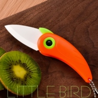 Nieuwe Aankomst Outdoor Camping Blade Jacht Surval Pocket Opvouwbare Birdie Keramische Keuken Fruitmes