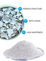 Butiran Zeolite putih gaya Modern ramah lingkungan (100% batu alami) kaki-cumi tanah berkebun penggunaan industri pertumbuhan tanaman