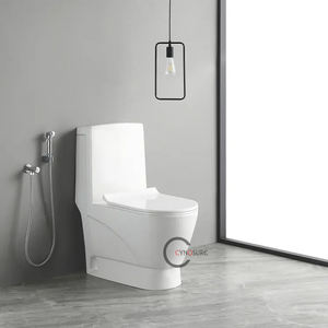 Ceramic One-piece Floor <b>Toilet</b> Bathroom Sanitary Ware Porcelain Washdown <b>Toilet</b> Bowl - Product Image 5