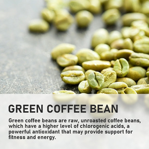 Café Verde en Grano con Extracto de Café Verde, el Más Vendido, Impulso Natural de Energía, Supercarga del Metabolismo - Product Image 6