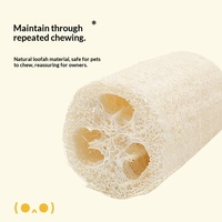 Jouet à mâcher pour chat en loofah, auto-entretenant, anti-ennui, nettoyage dentaire, bâtonnet de stimulation pour chat, modèle 2024