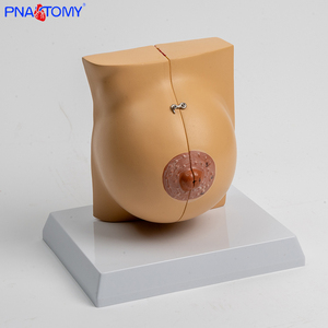 Y tế nữ mô phỏng vú Mô hình giải phẫu cho sản khoa và phụ khoa sau sinh sửa chữa đào tạo, vú nâng cao - Product Image 2
