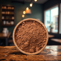 Poudre de cacao naturelle 10-12% de matières grasses, poudre brune pour la pâtisserie et la production de chocolat