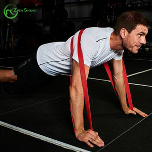 Zhensheng venta al por mayor bandas de fitness multifunción diferentes valores de resistencia de tubos ideal para todos los niveles de fitness banda de entrenamiento - Product Image 5