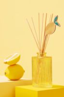 Citron & Bergamote Reed Diffuseur saint valentin cadeau bougies parfumées cadeaux de luxe pour les femmes