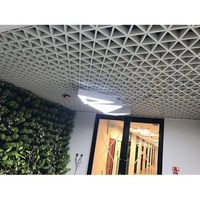Plaques de plafond décoratives en aluminium, plafond suspendu, faux plafond, grilles métalliques