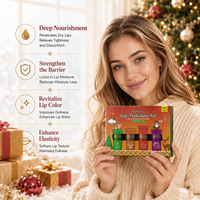 Coffret de soins pour les lèvres de Noël, baume à lèvres hydratant, soin hydratant doux pour les lèvres, cadeau