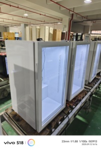 Refrigerador con Compresor Nuelead NE-110C de Una Puerta de Vidrio, 110L, Portátil, Eficiente Energéticamente, para Uso Comercial - Product Image 4