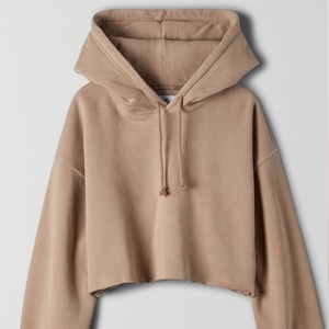 Top vente tendance de haute qualité confortable femmes décontracté culture sweats à capuche coton polyester sweats à capuche pour les femmes - Product Image 1