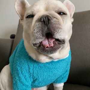 Ropa para Cachorros <span class=keywords><strong>Bulldog</strong></span> Francés, Ropa Abrigada y Bonita para Mascotas en Invierno - Product Image 3
