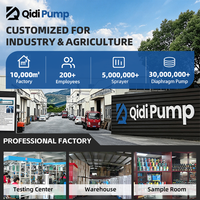 Douche électrique portable à pression pour eau marine, pompe à diaphragme DC 12V avec contrôleur automatique