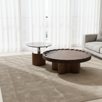 Table basse contemporaine combinée extensible à hauteur réglable, montage facile, légère, décorative, meubles de salon