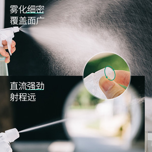 เครื่องพ่นยาแบบมือ RUIPU ขนาด 500 มล. พร้อมปืนฉีด สำหรับป้องกันพืชและทำสวน - Product Image 2