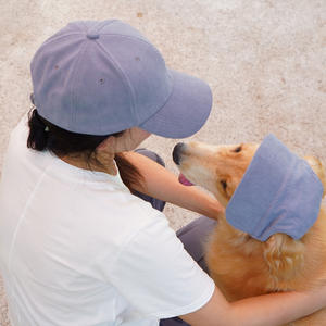 <strong>Dog</strong> Baseball <strong>Cap</strong> with Ear Cutouts for Golden Retrievers and Labradors Pet <strong>Flat</strong> Brim Hat Wholesale - Product Image 1