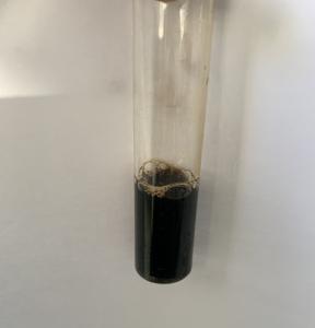 Enzima degli enzimi alimentari della gluamilasi per la birra - Product Image 2