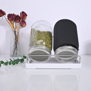 Botella de Vidrio Reciclado Ecológica para Germinación Doméstica - Product Image 2