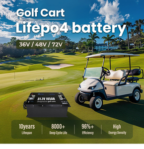 48V 100AH LiFePO4 Pin 51.2V pin 6000 chu kỳ sâu cho xe golf/năng lượng mặt trời/ev-oem tùy chỉnh BMS hỗ trợ - Product Image 2