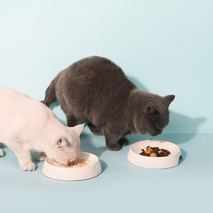 Offre Spéciale rond mangeoire pour animaux de compagnie bols personnalisé Silicone chien bol lent chien chat bol d'alimentation pour animaux de compagnie pour la nourriture de l'eau - Product Image 2