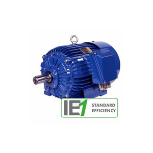 Moteur électrique CANTONI 4SIE IE4 Super Premium Efficiency pour usage industriel - Product Image 2
