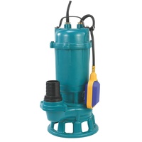 Pompe submersible pour eaux usées avec couteau de coupe Pompe submersible pour eau Pompe pour eaux sales