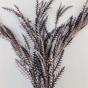 Venta de Fábrica, Hoja de Diente de Sable Eterna, Flores Secas Preservadas, Decoración para el Día de San Valentín, Larga Duración, Preservación de 3 a 5 Años - Product Image 6