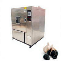 Fermenteur à bon prix pour machine de fermentation arrière, en promotion, machine à ail noir d'usine