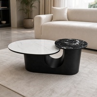 Table basse moderne haut de gamme avec plateau en marbre et structure métallique, design durable pour petit appartement, mobilier de salon de luxe