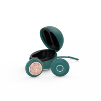Mini Boîte de Moxa Chinoise pour Soins, Appareil de Moxibustion Chauffant Sans Fumée, Batterie 520 mAh, Minuteur Automatique 15 min, Utilisation Corporelle, Patch Adhésif