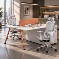Poste de travail modulaire pour 2 personnes, cloison extensible, bureau avec plateau en bois, structure en métal, mobilier de bureau moderne
