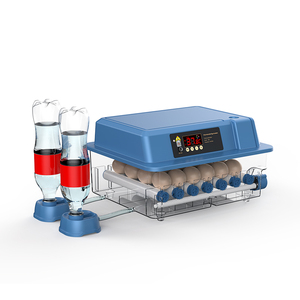 Mini incubadora azul <span class=keywords><strong>de</strong></span> 24 <span class=keywords><strong>huevos</strong></span>, equipo <span class=keywords><strong>de</strong></span> cría para aves <span class=keywords><strong>de</strong></span> corral, pollo, pato, aves - Product Image 2