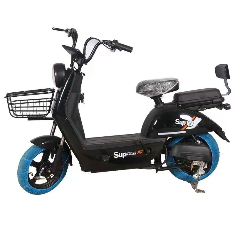 Slen Motor 500W Silent Motor Electric Two-wheeled Vehicle with Front and Rear Drum ...