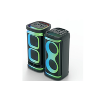 Enceinte Bluetooth extérieure double flamme 10 pouces, enceinte subwoofer, système audio portable haute puissance