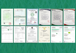 JULONG Supply OEM/ODM Private Label Bio-Cordy ceps Sinensis Myzel pulver extrakt Anpassbare Cordyceps-Extrakt kapsel - Product Image 4