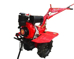 Nông Nghiệp Làm Cỏ Máy 6.5HP Vườn Tiller Xới Quay Philippines Trang Trại Mini Tiller