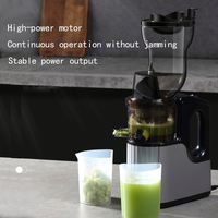 RVS 200W Professionele Slow Juicer met Grote Vulopening Elektrische Huishoudelijke Machine
