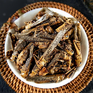 Sfogliatrici Essiccate Intere, Insetti Essiccati, Mangime per Animali, Mangime per Uccelli, Prodotto Agricolo Primario, Durata di Conservazione 12 Mesi - Product Image 1