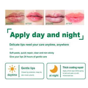 Bálsamo labial orgánico natural agic, bálsamo labial nutritivo hidratante a base de hierbas medicado - Product Image 5