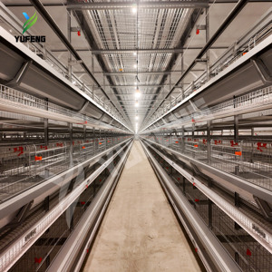 उच्च गुणवत्ता वाले स्वचालित एच प्रकार की चिकन परत बैटरी क्यू235 स्टील 90-200 क्षमता 3-8 स्तर चिकन फार्म का उपयोग - Product Image 3