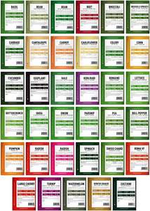 Gardeners Basics 16.000 Non-GMO Heirloom Survival Vegetal <span class=keywords><strong>Kit</strong></span> Ideal para el hogar Emergencia Bugout Macetas y jardineras - Product Image 3