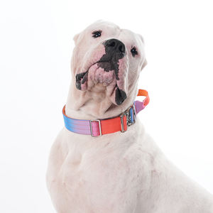 Nuevo <span class=keywords><strong>Collar</strong></span> Táctico para Mascotas con Color Degradado, Nuevo <span class=keywords><strong>Collar</strong></span> de Entrenamiento para Cachorros, <span class=keywords><strong>Collar</strong></span> de Nailon Resistente con Hebilla de Serpiente - Product Image 2