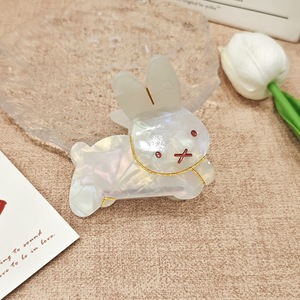 بيع بالجملة لطيف حيوان أرنب للفتيات شكل كلب خلات سمك القرش الديكور التبعي - Product Image 6