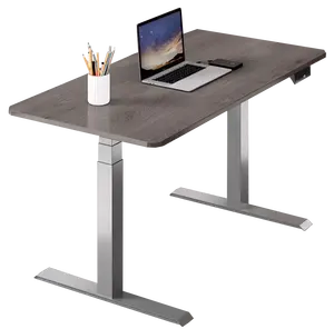 Alta Qualidade Ergonômico Moderna Mesa Do Computador Do Escritório Sit Stand Desk Único Motor Standing Desk Elétrica Altura Ajustável Desk